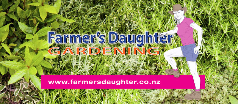 Gardening Services Auckland Farmer S Daughter Gardeners
