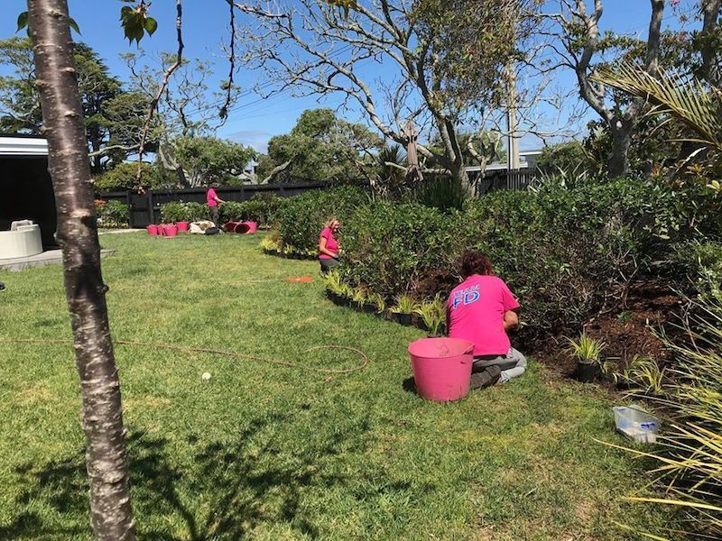 Garden Clean Up Auckland Garden Clearing Services Howick